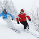 Image for article titled Sonny Bono Foundation Prevents At-Risk Youths From Skiing Into Trees